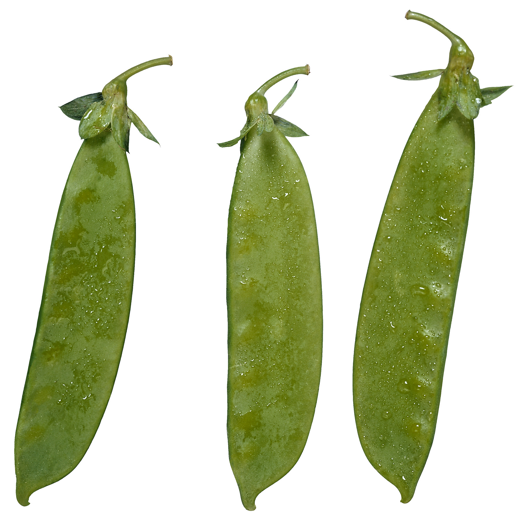 green-snow-peas